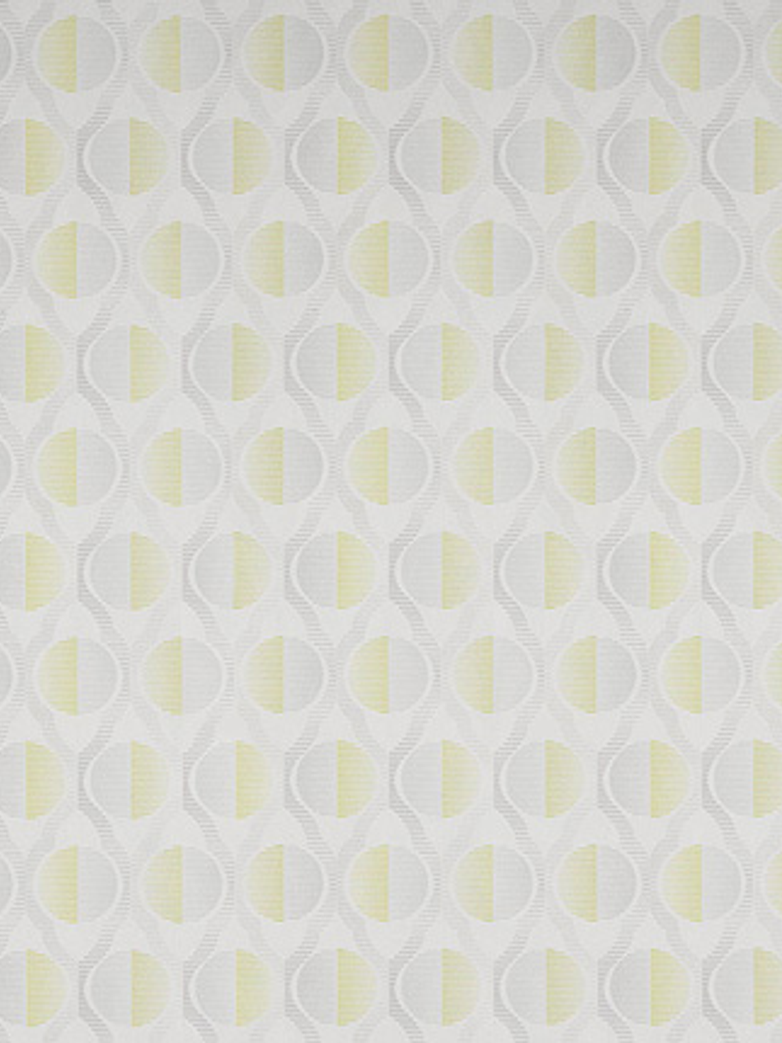 FASCINATA - (53cm) - 207004 1