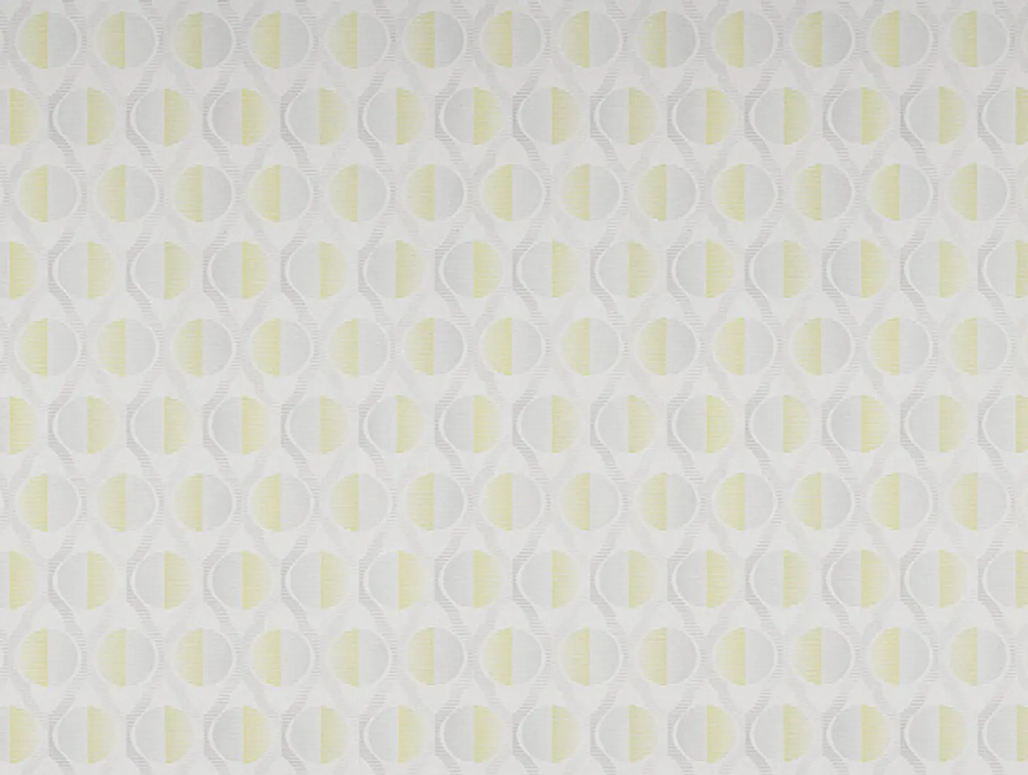 FASCINATA - (53cm) - 207004 1