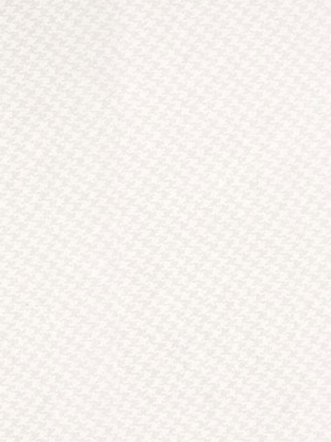 FASCINATA - (53cm) - 207056 1