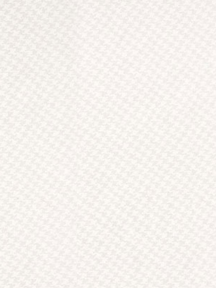 FASCINATA - (53cm) - 207056 1