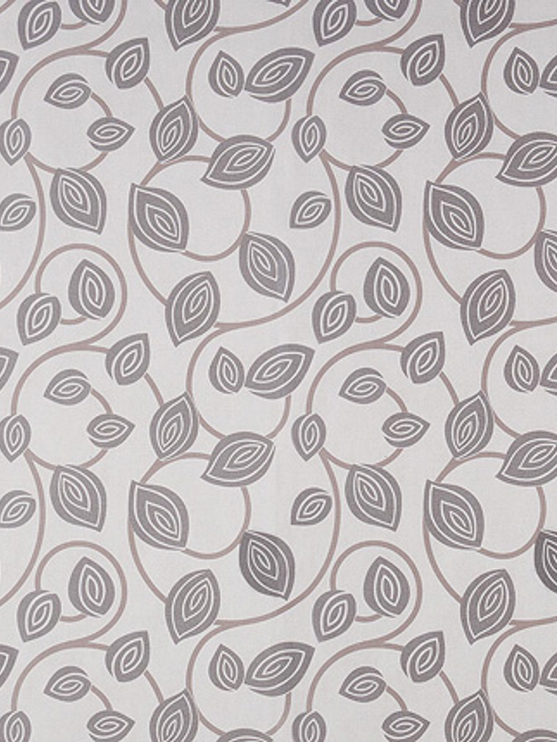 FASCINATA - (53cm) - 207028 1