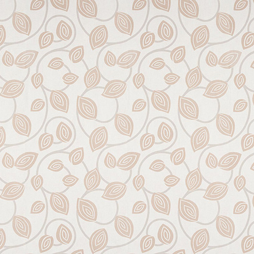 FASCINATA - (53cm) - 207025 1