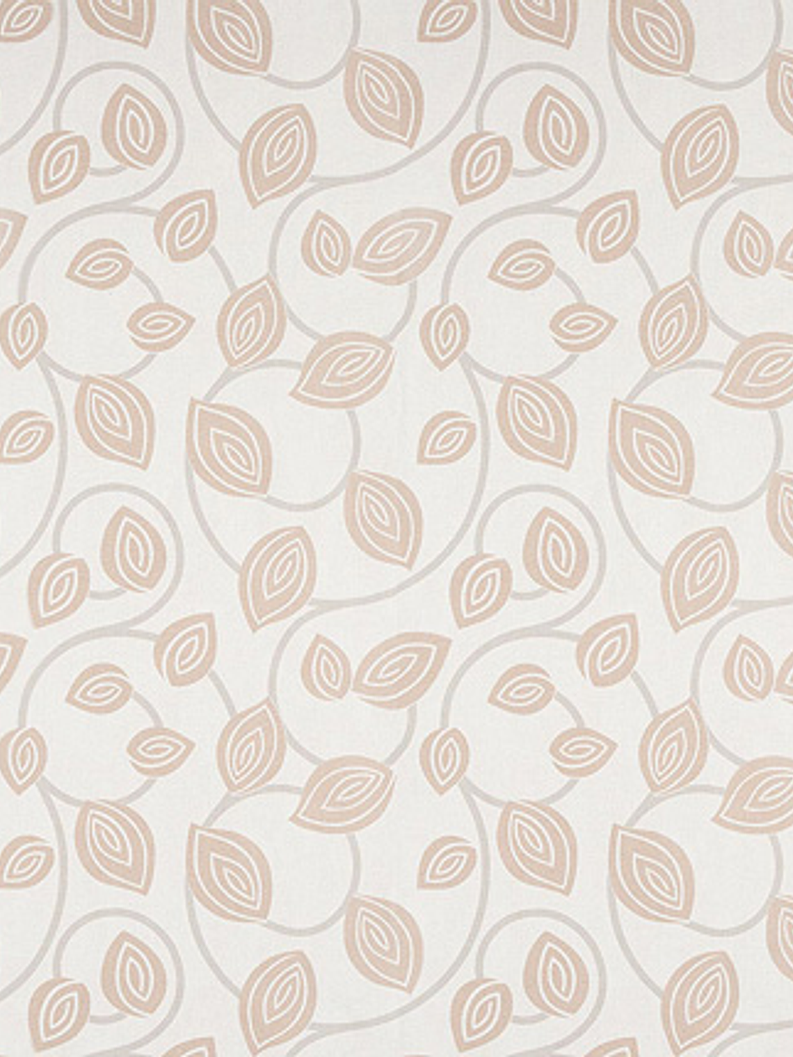 FASCINATA - (53cm) - 207025 1