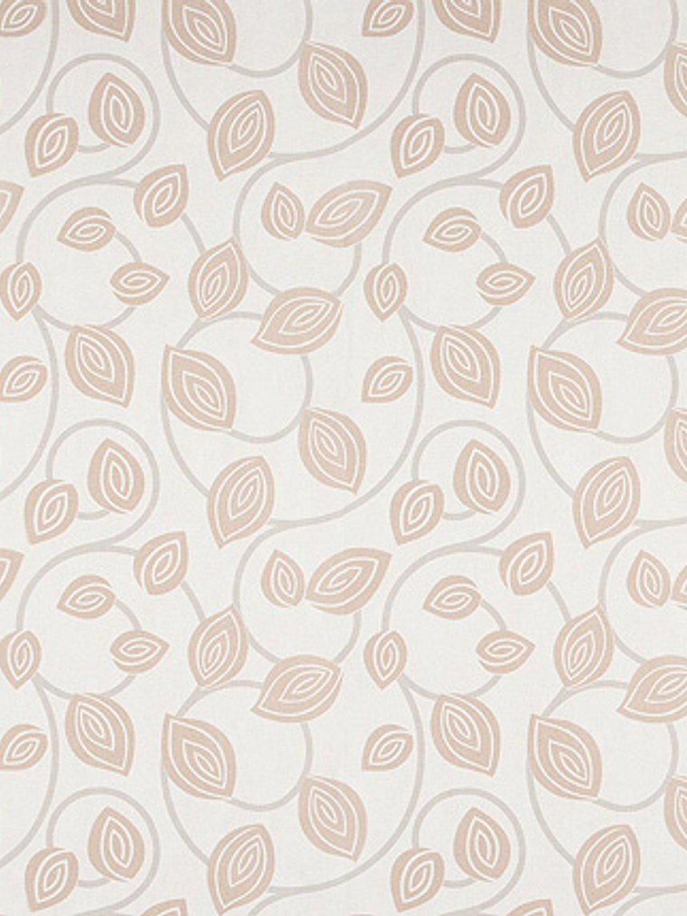 FASCINATA - (53cm) - 207025 1