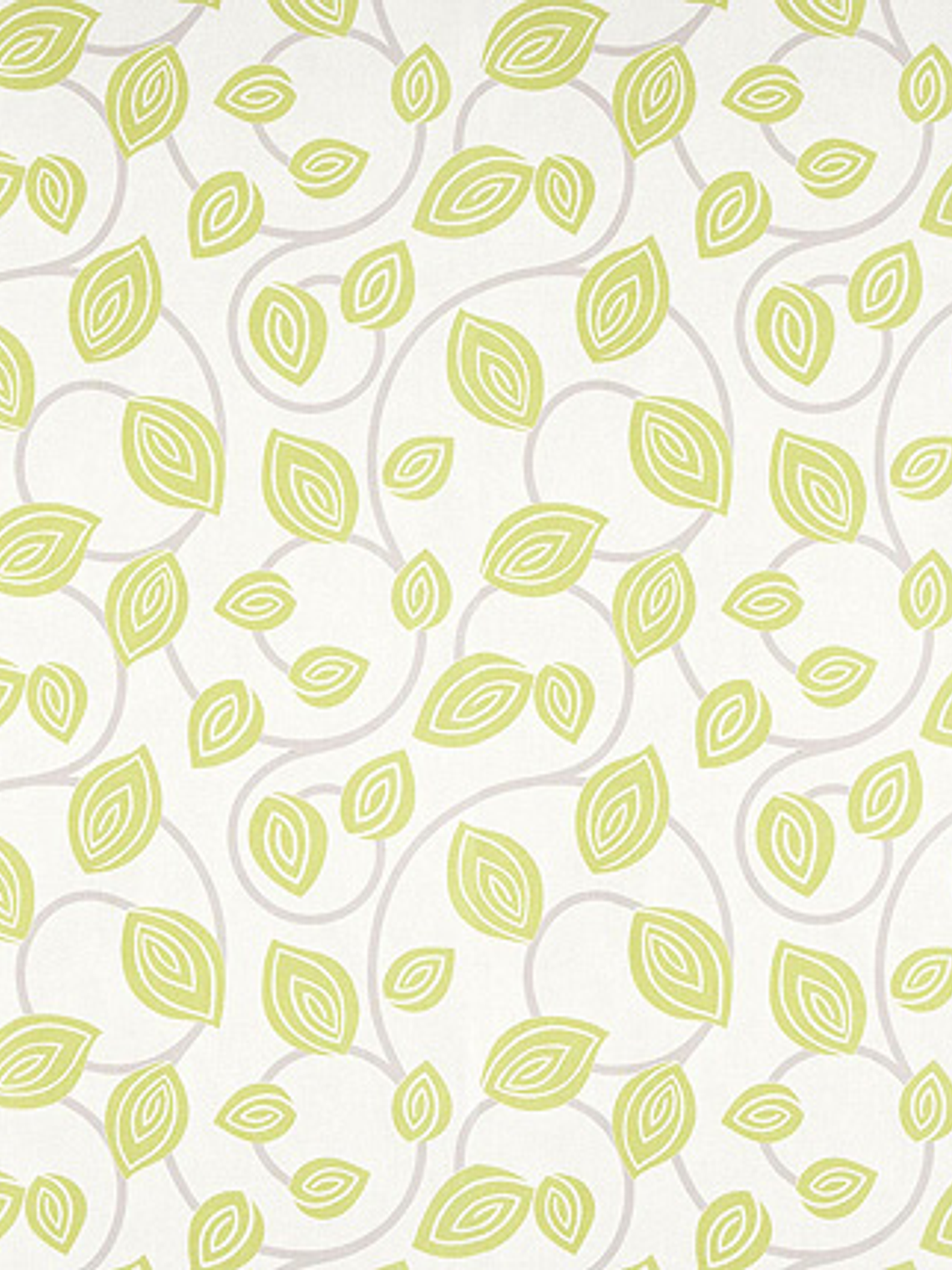 FASCINATA - (53cm) - 207024 1