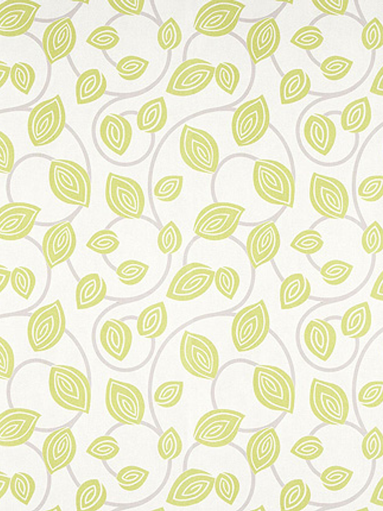 FASCINATA - (53cm) - 207024 1