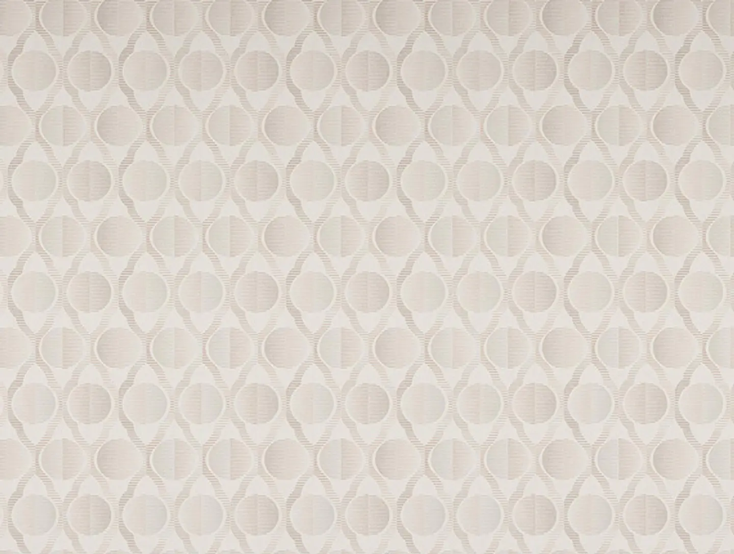 FASCINATA - (53cm) - 207007 1