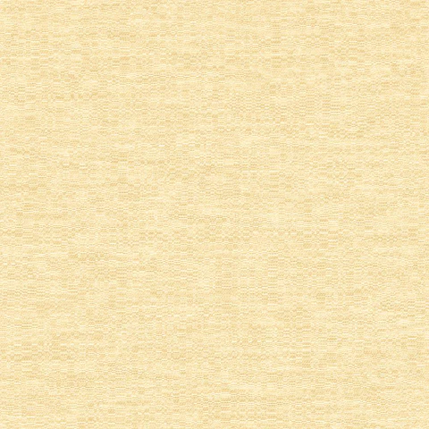 45204-(0CM)-CARACTÉRE   