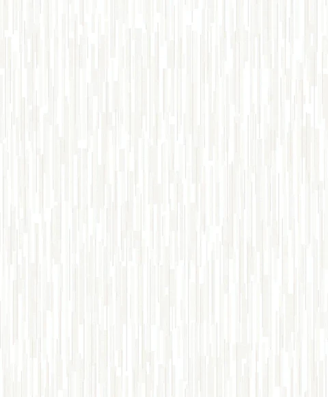 45301-(0CM)-CARACTÉRE  