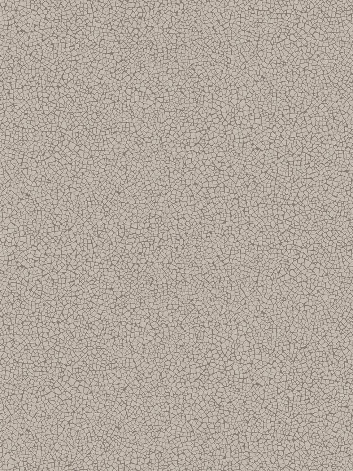 45406-(0CM)-CARACTÉRE 1