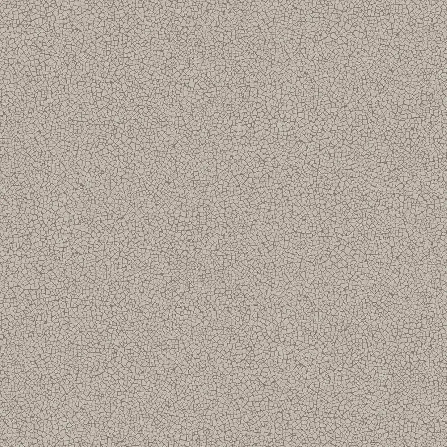 45406-(0CM)-CARACTÉRE 1