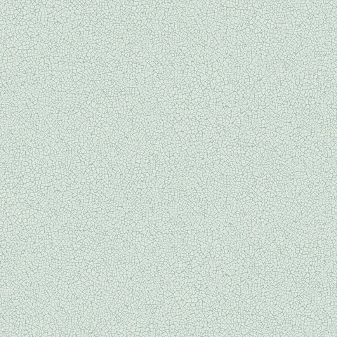 45401-(0CM)-CARACTÉRE 