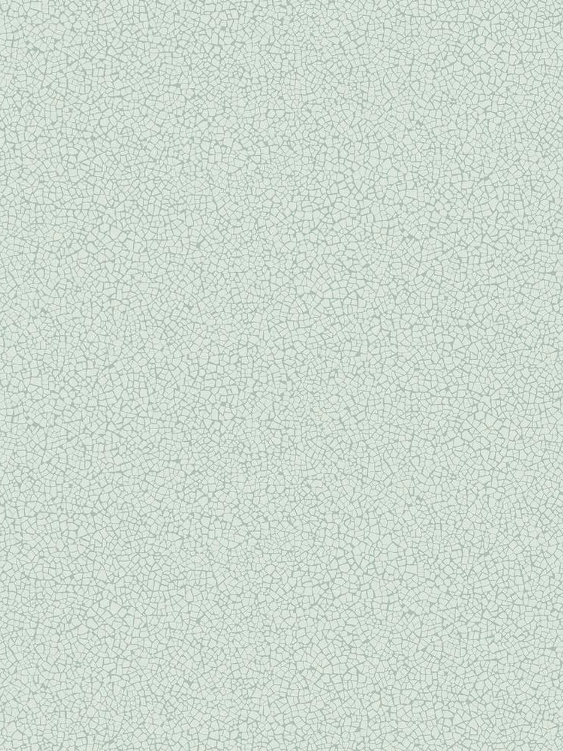 45401-(0CM)-CARACTÉRE  1