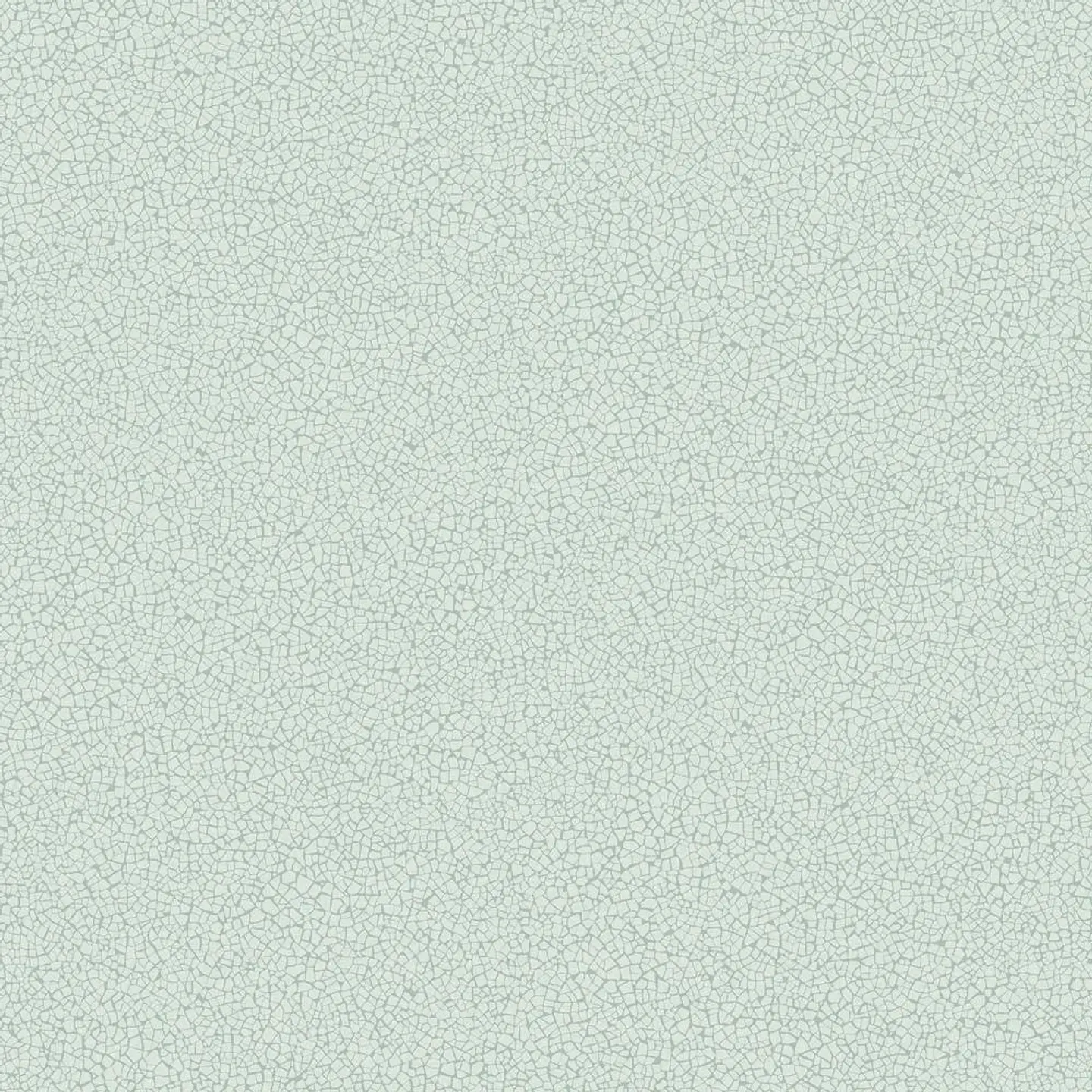45401-(0CM)-CARACTÉRE  1