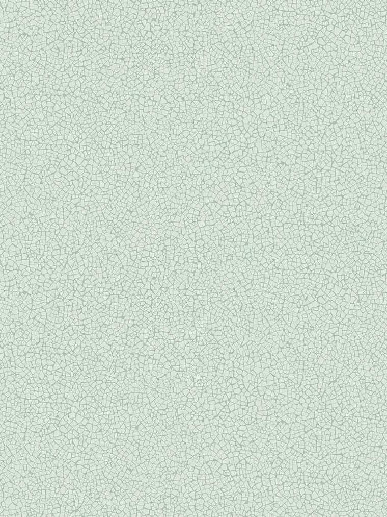 45401-(0CM)-CARACTÉRE  1