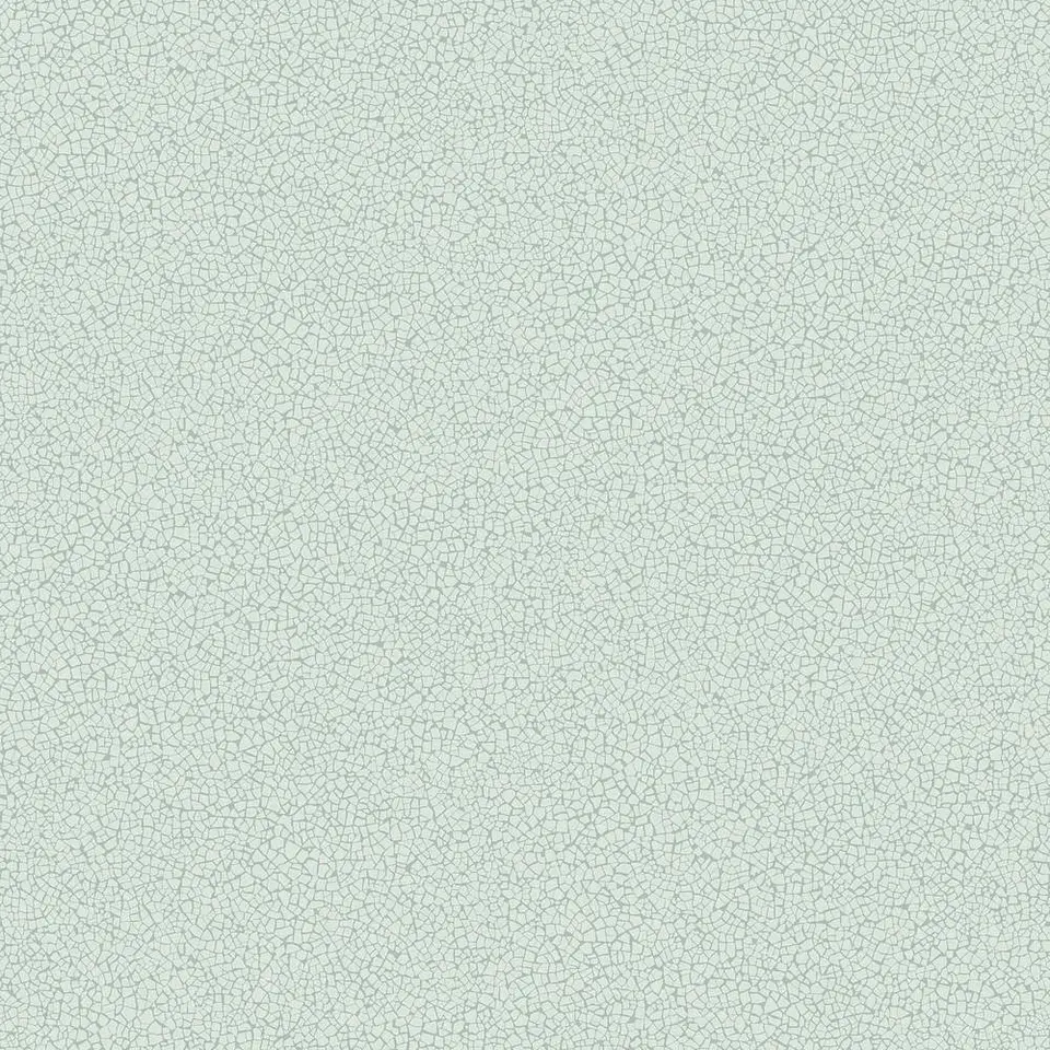 45401-(0CM)-CARACTÉRE  1