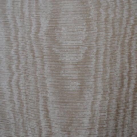 45512-(0CM)-CARACTÉRE