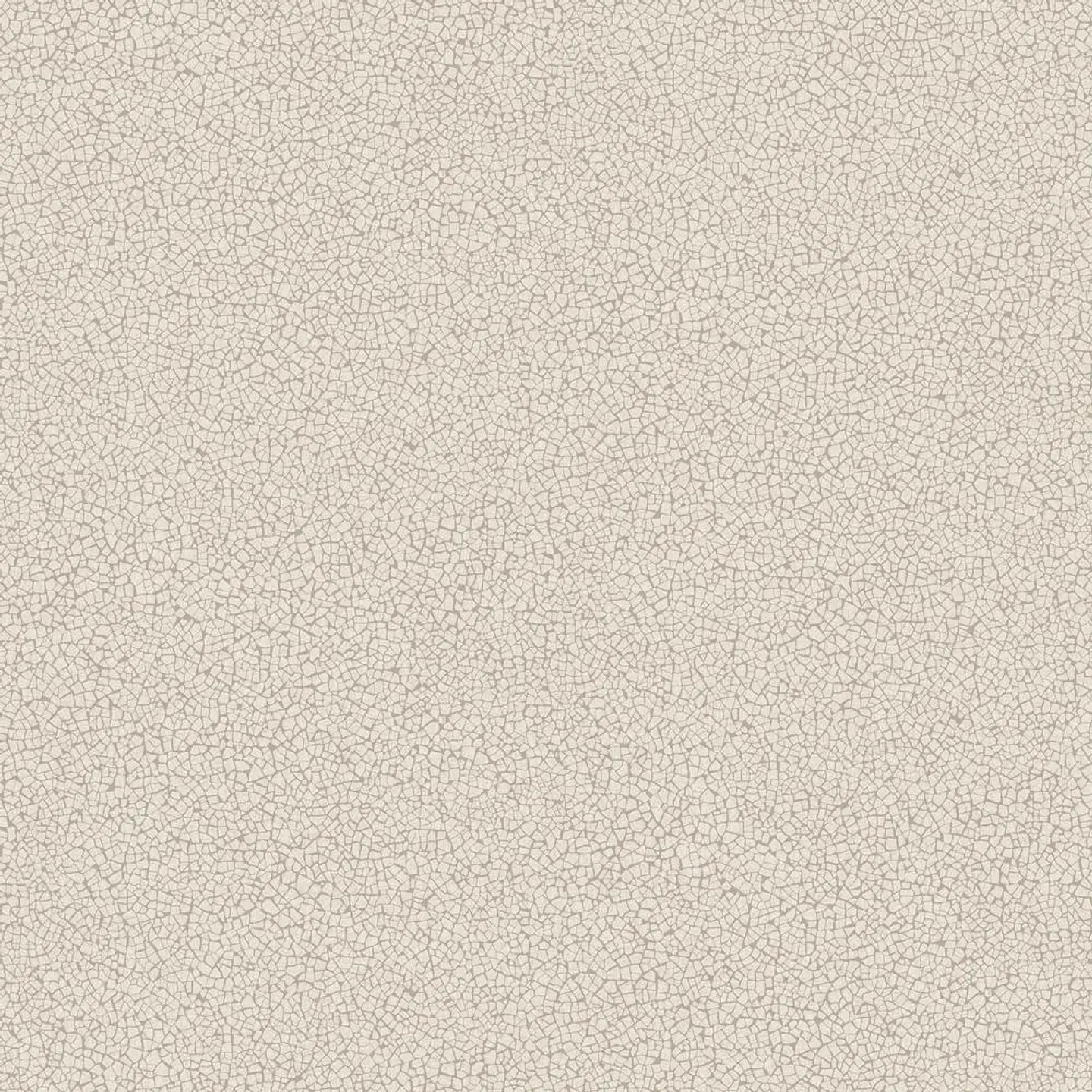 45405-(0CM)-CARACTÉRE 1