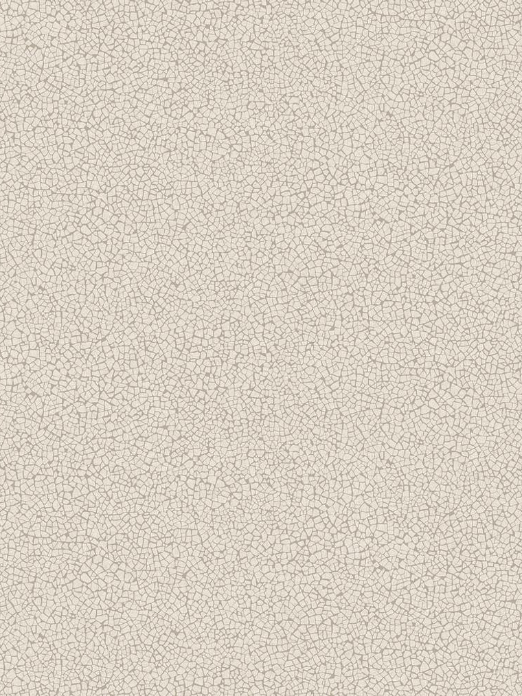 45405-(0CM)-CARACTÉRE 1