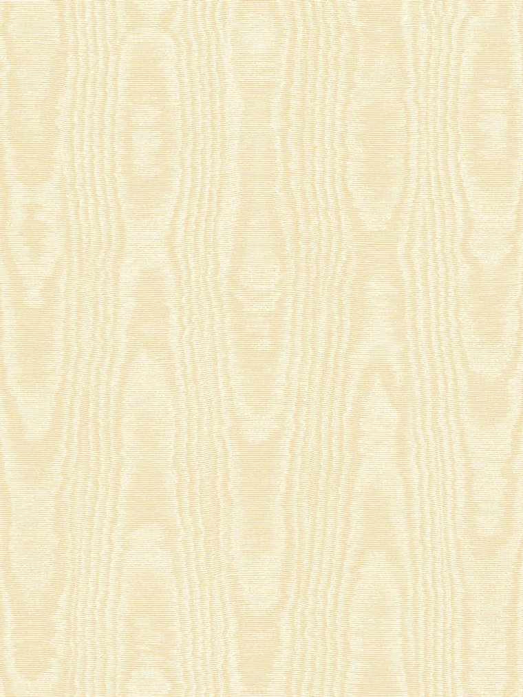 45504-(0CM)-CARACTÉRE  1