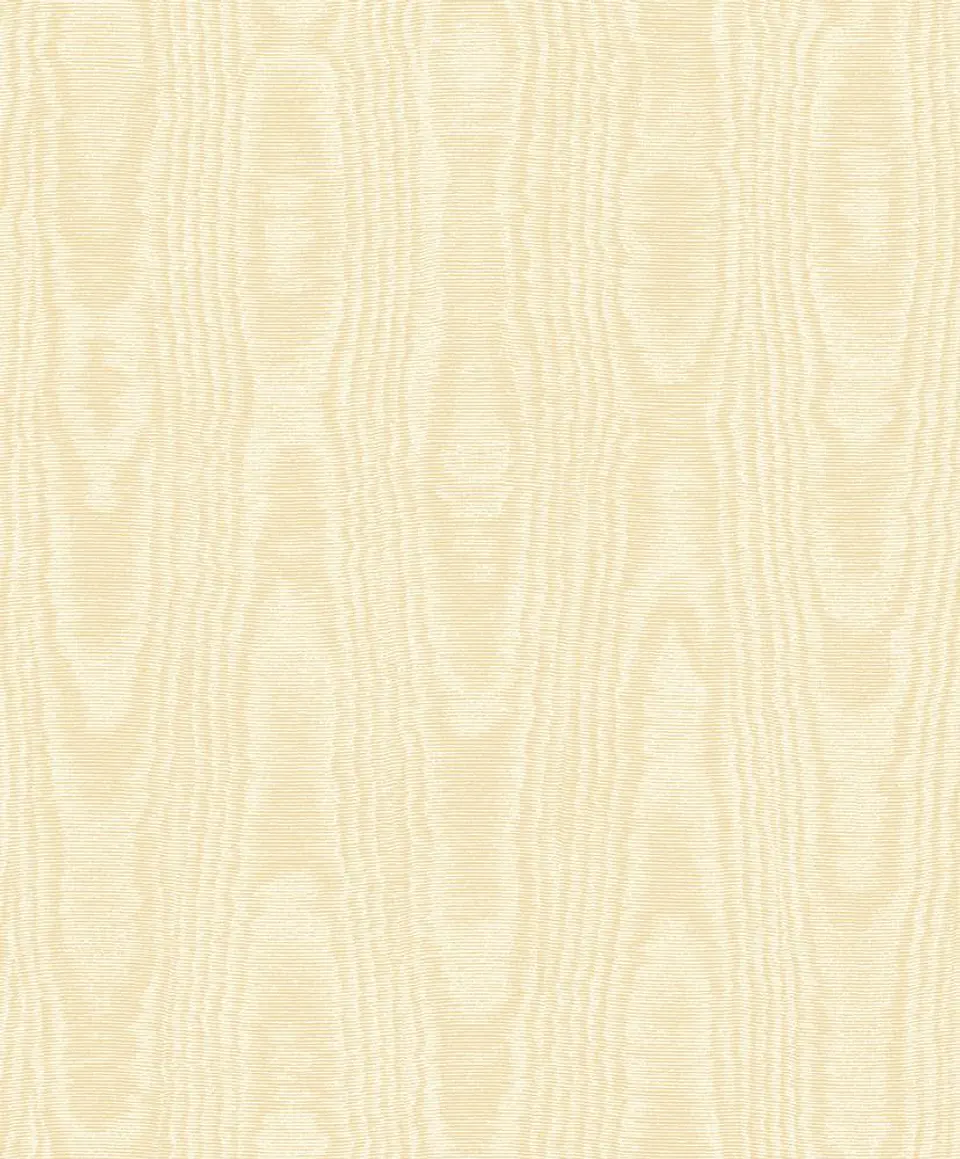 45504-(0CM)-CARACTÉRE  1