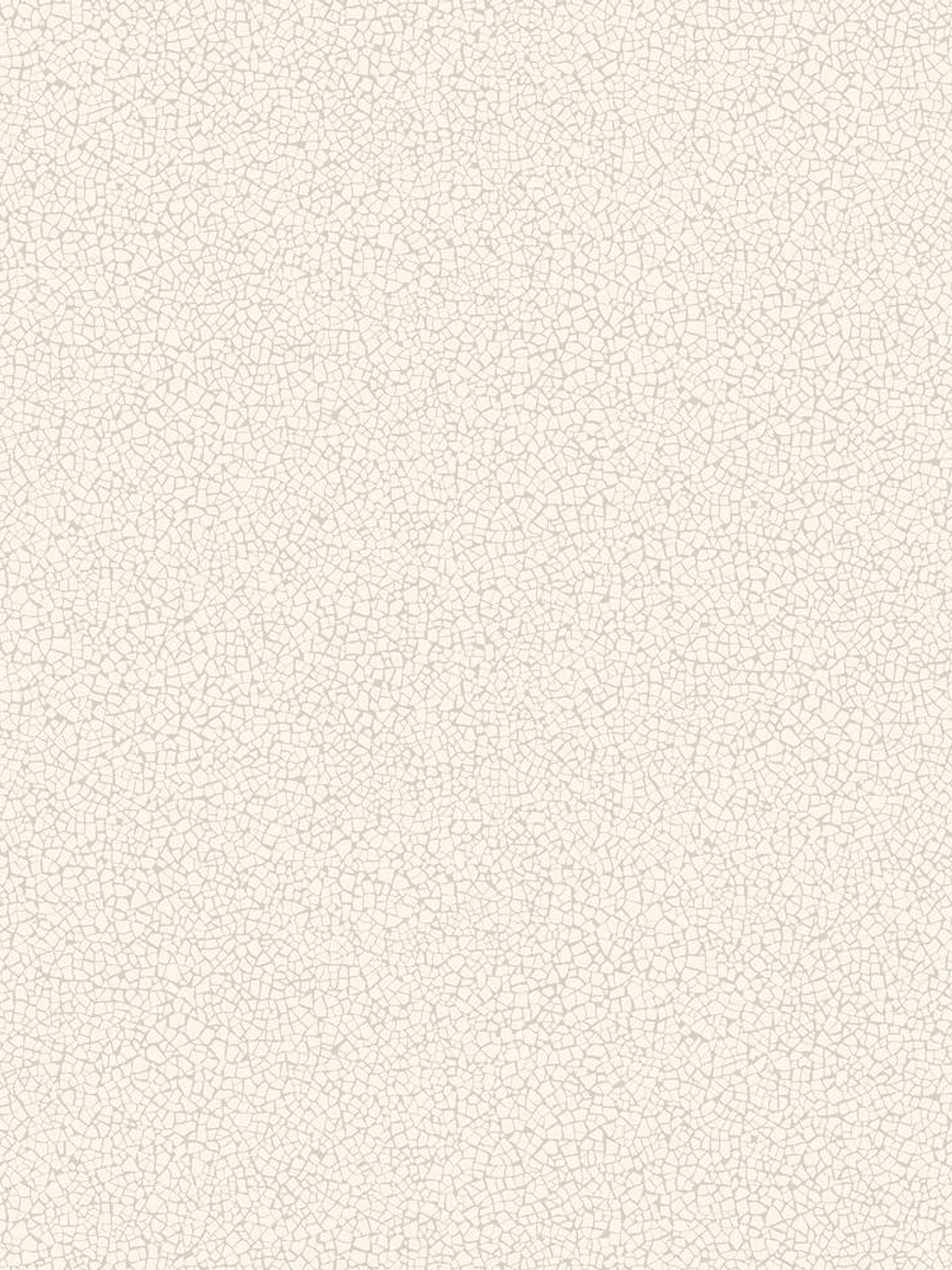 45404-(0CM)-CARACTÉRE  1