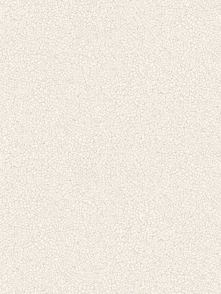 45404-(0CM)-CARACTÉRE  1