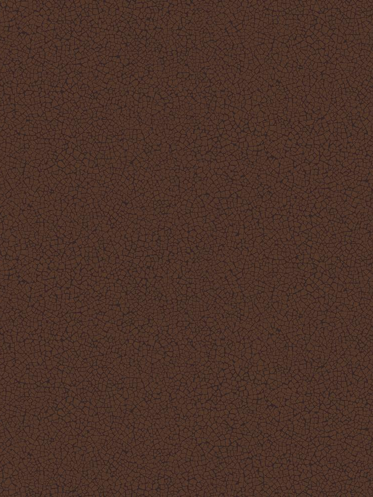 45408-(0CM)-CARACTÉRE    1