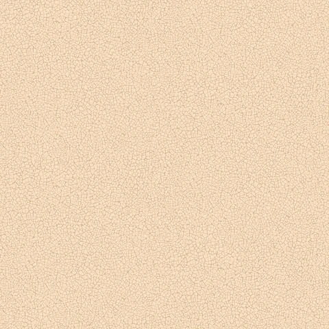 45411-(0CM)-CARACTÉRE 