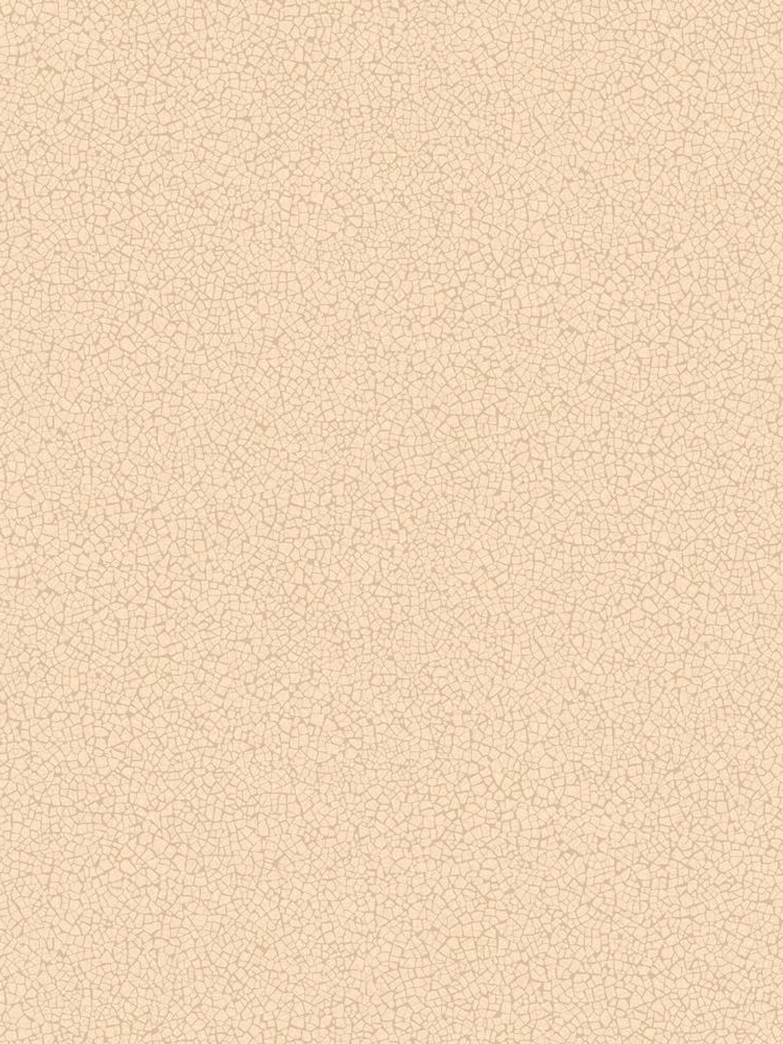 45411-(0CM)-CARACTÉRE  1