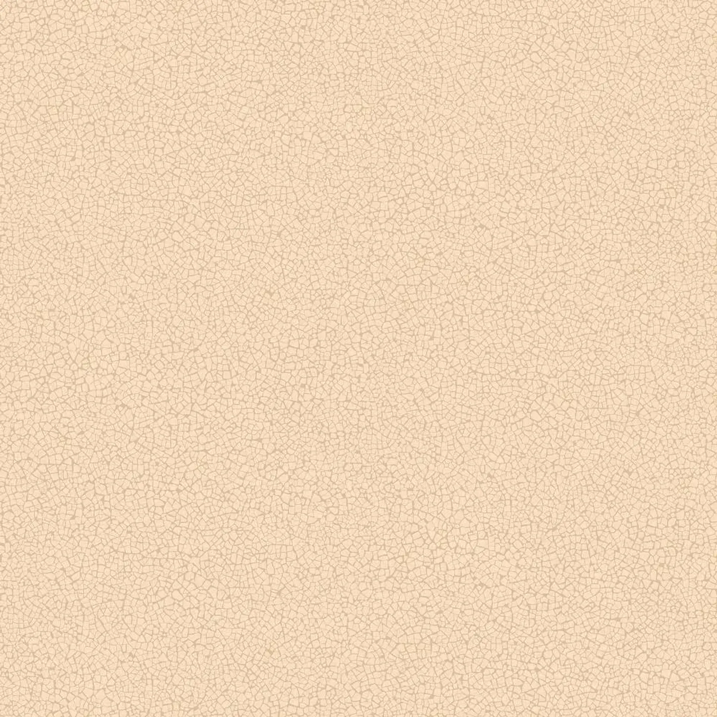 45411-(0CM)-CARACTÉRE  1