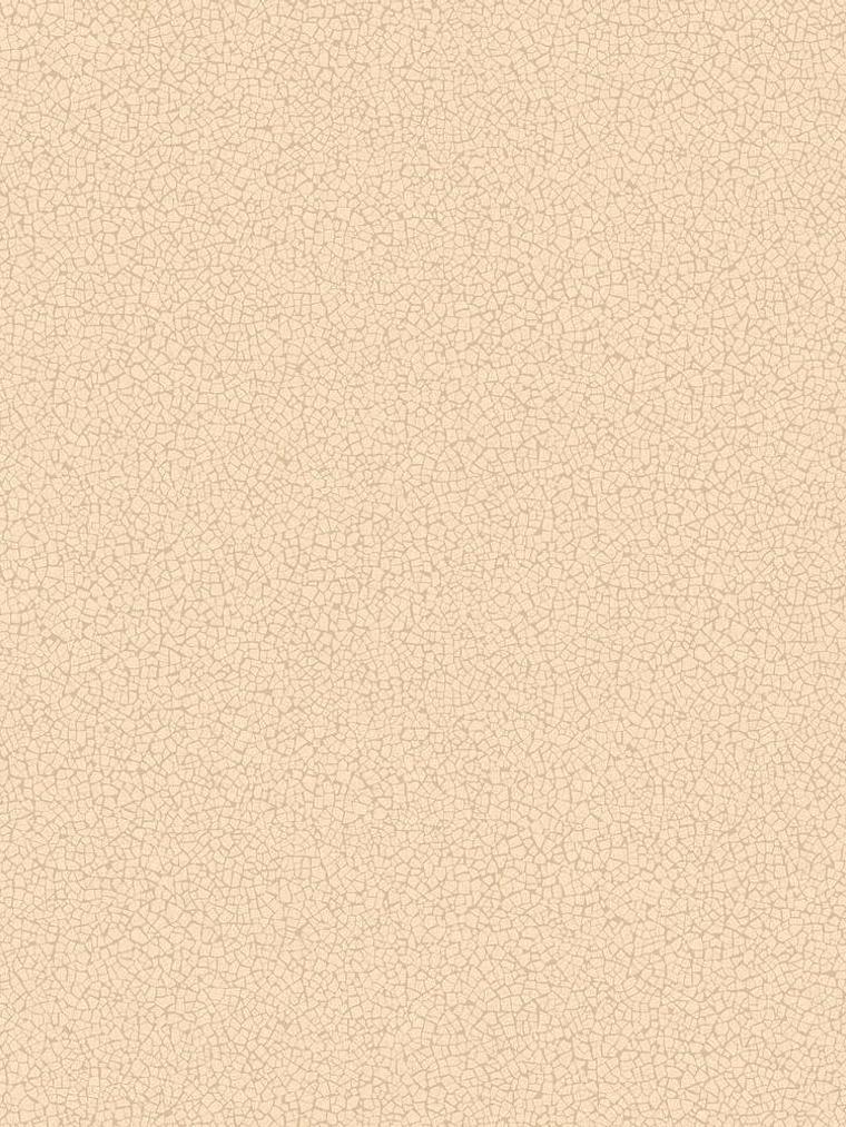 45411-(0CM)-CARACTÉRE  1