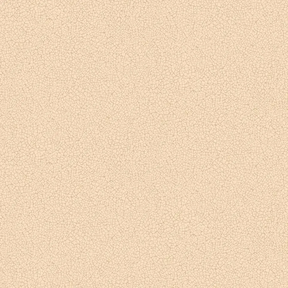 45411-(0CM)-CARACTÉRE  1