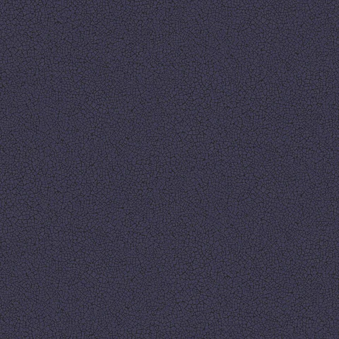 45409-(0CM)-CARACTÉRE  