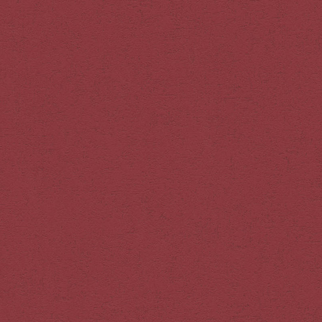  MOMENTS - (0CM) - 328358 1