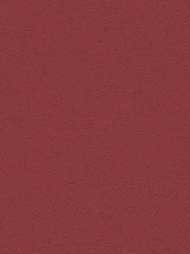  MOMENTS - (0CM) - 328358 1