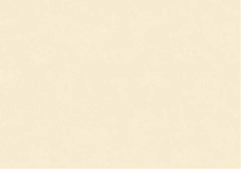 NEW SKIN - (0cm) - 74010