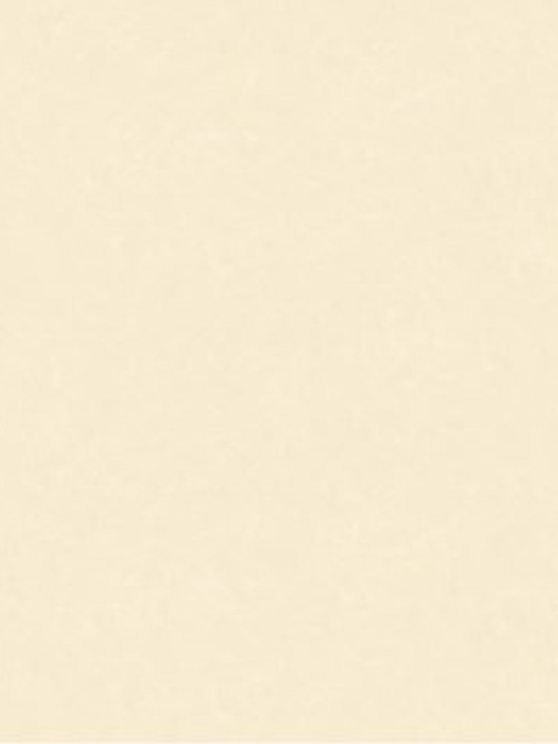 NEW SKIN - (0cm) - 74010 1