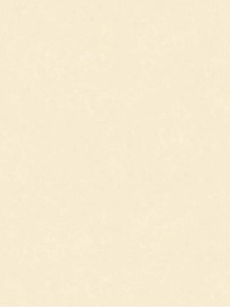 NEW SKIN - (0cm) - 74010 1