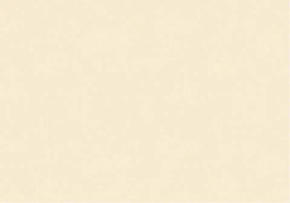 NEW SKIN - (0cm) - 74010 1