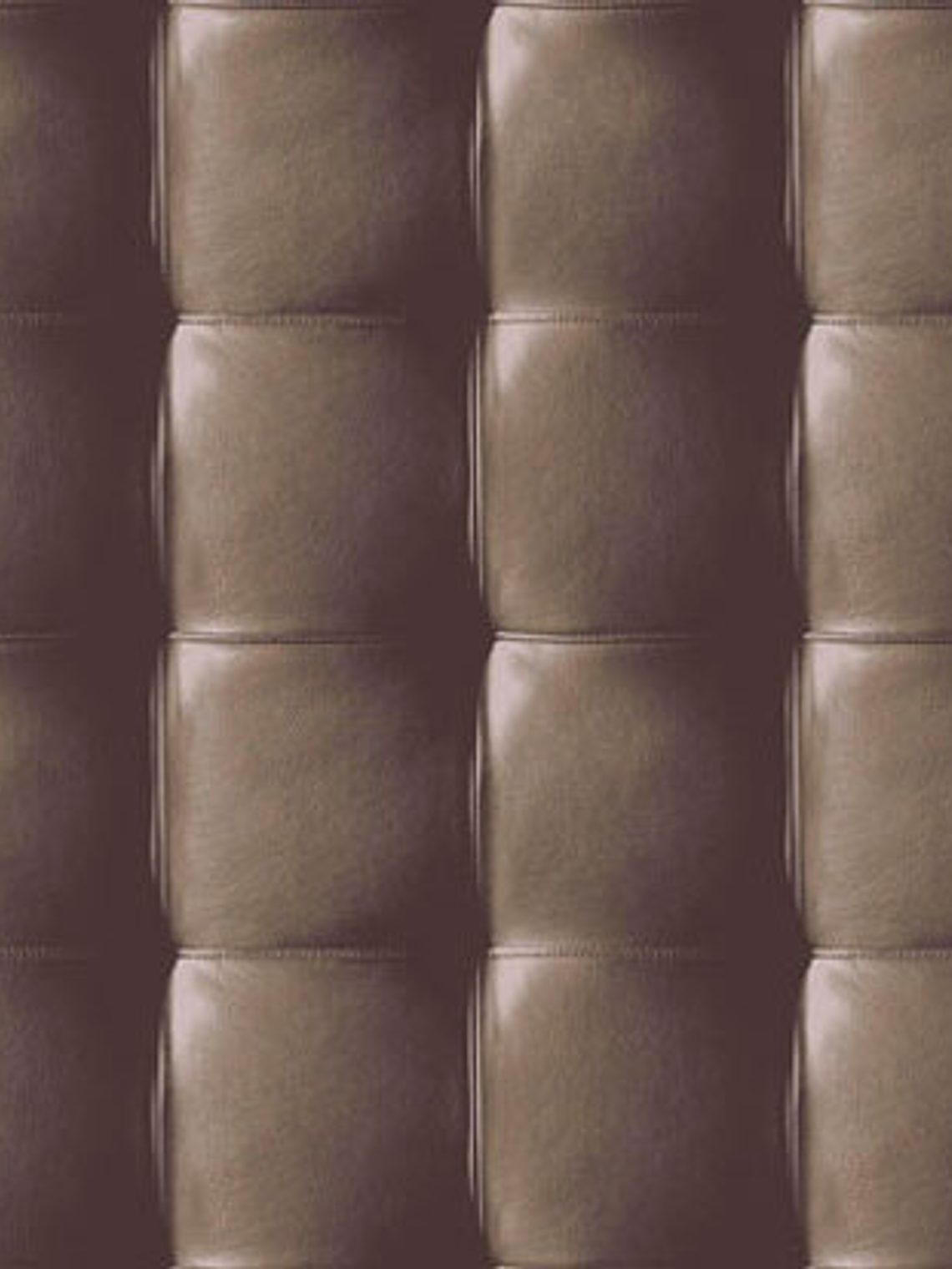 NEW SKIN - (53cm) - 74203 1