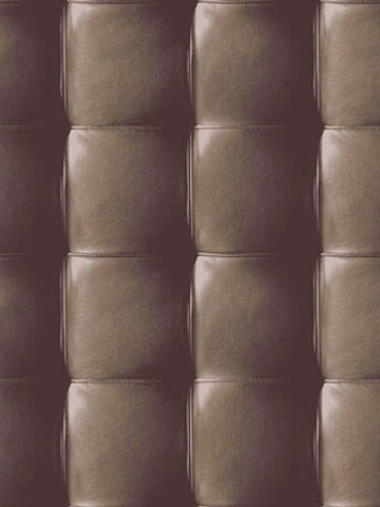 NEW SKIN - (53cm) - 74203 1