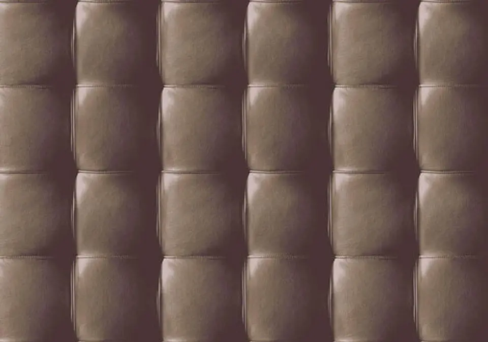 NEW SKIN - (53cm) - 74203 1