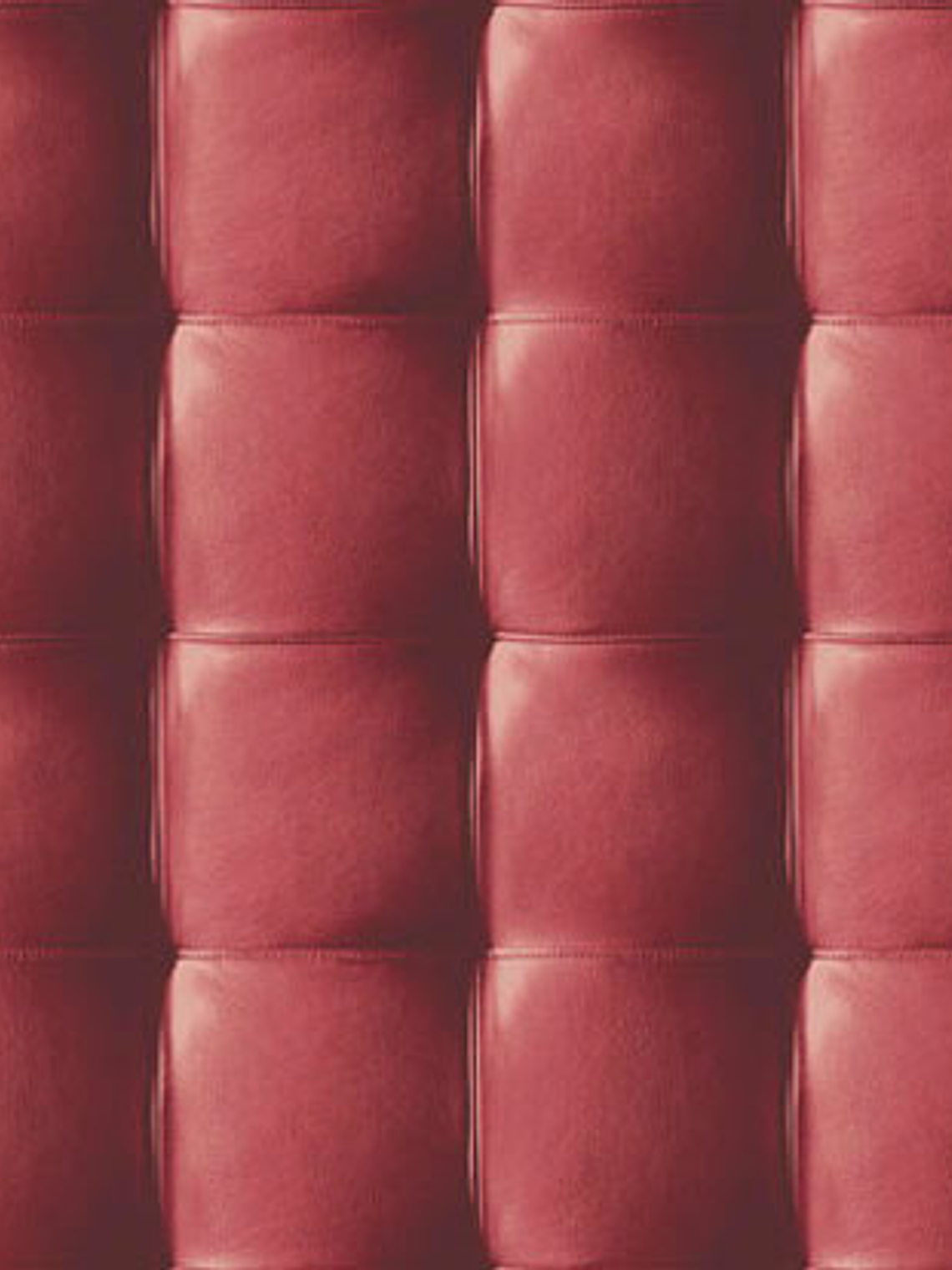 NEW SKIN - (53cm) - 74209 1