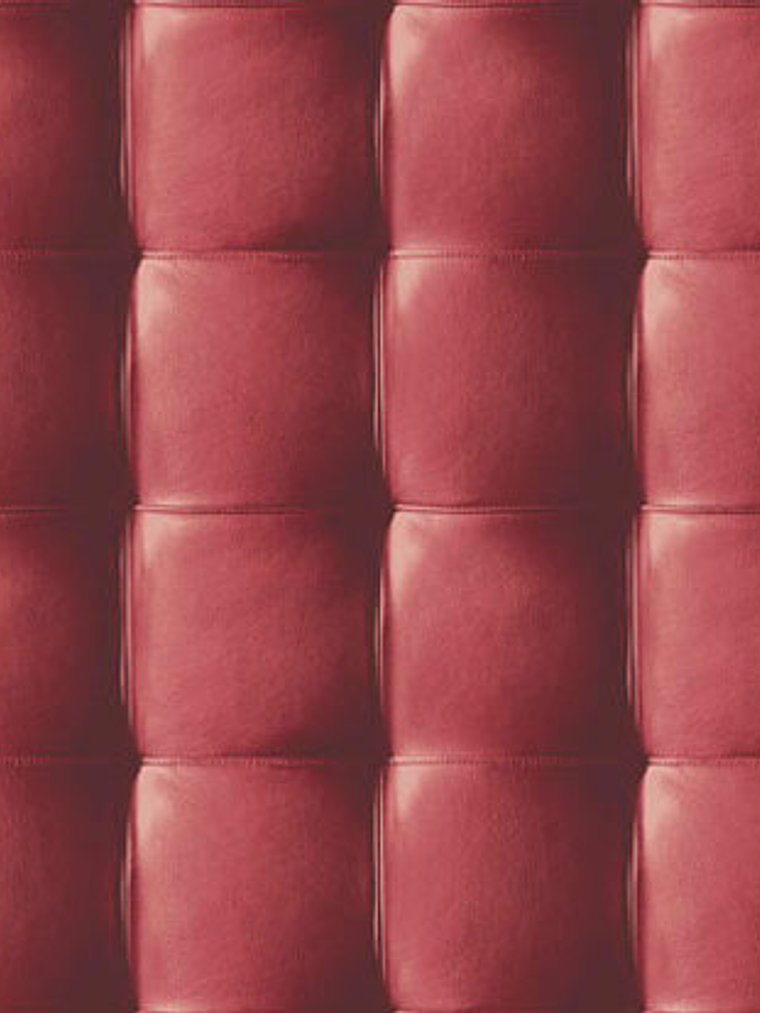 NEW SKIN - (53cm) - 74209 1