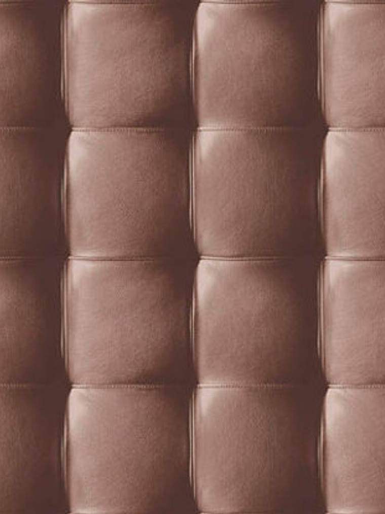 NEW SKIN - (53cm) - 74212 1