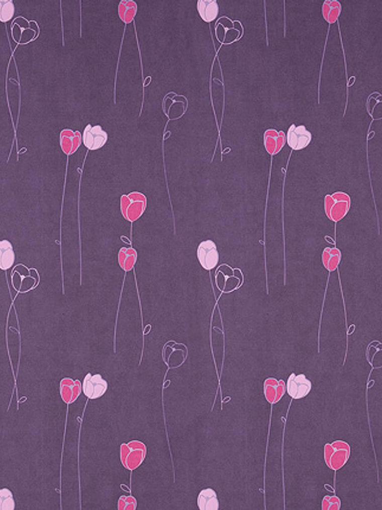 ELEGANCE - (0cm) - 207149 1