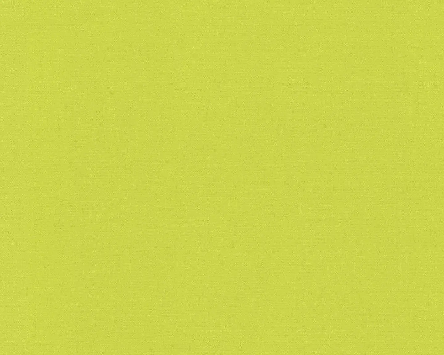 COLOUR COURAGE - 698926 (0 cm) - A.C.    1