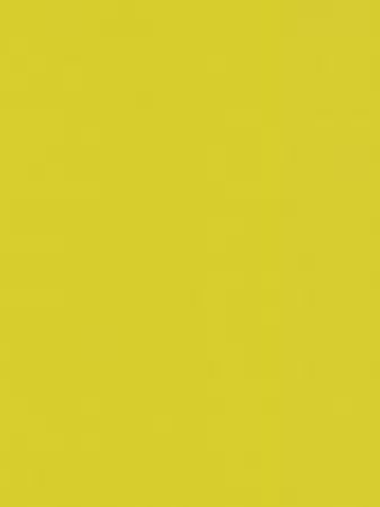 COLOUR COURAGE - 805621 (0 cm) - A.C.    1