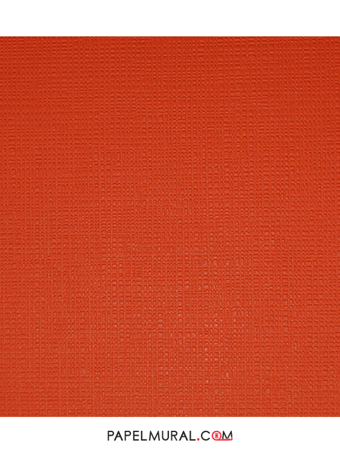 COLOUR COURAGE - 805737 (0 cm) - A.C.     1